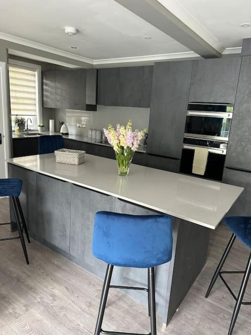 Cameron Coach House Modern Property In Murrayfield เอดินบะระ ภายนอก รูปภาพ